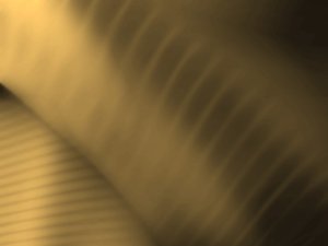 高考体检结果对专业选择的影响