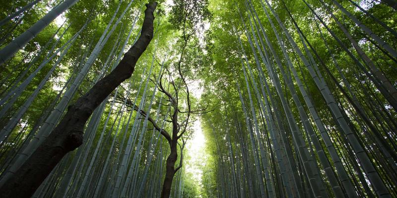 企业文化好不好用？真实使用体验分享